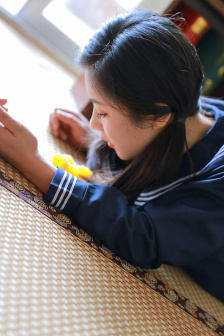 摩托罗拉a1600软件
